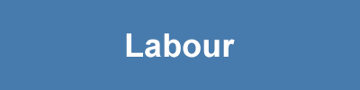 Labour